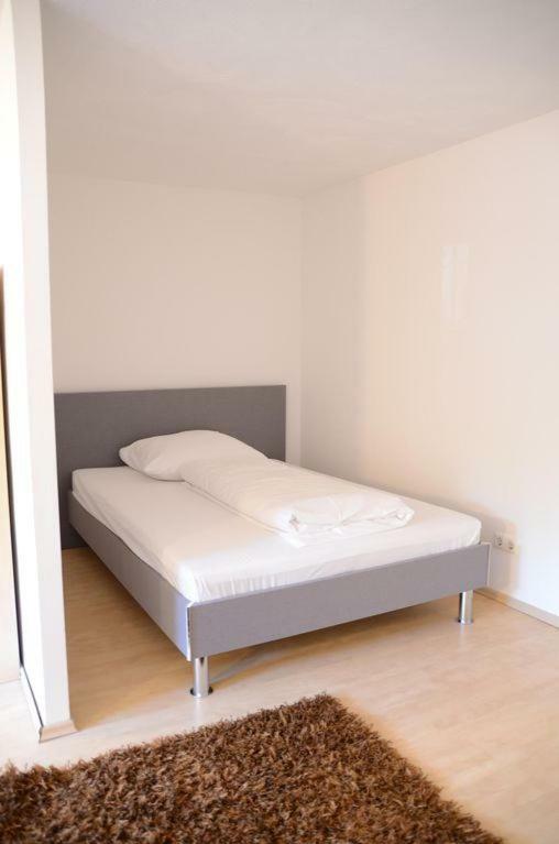 Lms Apartments Weiterstadt Zewnętrze zdjęcie